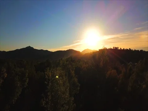 Flying through Mountain Trees at Sunrise 動画素材 83587657