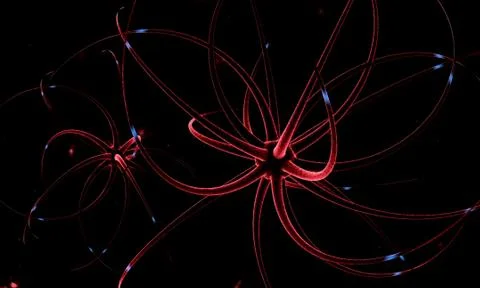 Flying through a neural network, electrical impulses pass through it. Stock Illustration