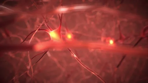 Flying Through Neural Network Neurons Vidéo 130206568