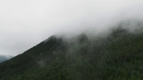 Flying through Pacific Northwest Clouds and Mist in Cascade Foothills - Aerial Stock Footage 111102255