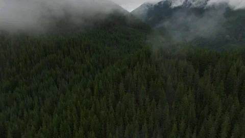 Flying through Pacific Northwest Clouds and Mist in Cascade Foothills - Aerial Stock Footage 111103150