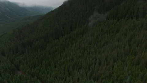 Flying through Pacific Northwest Clouds and Mist in Cascade Foothills - Aerial Stock Footage 111103585