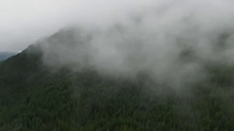 Flying through Pacific Northwest Clouds and Mist in Cascade Foothills - Aerial Stock Footage 111104510