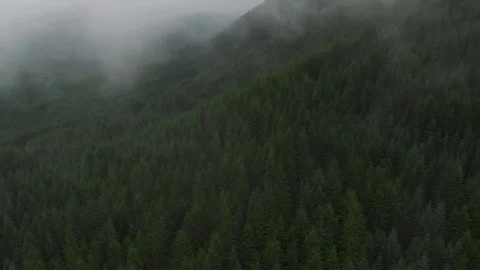 Flying through Pacific Northwest Clouds and Mist in Cascade Foothills - Aerial Stock Footage 111104930