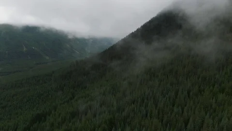 Flying through Pacific Northwest Clouds and Mist in Cascade Foothills - Aerial Stock Footage 111104994
