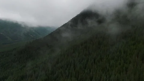 Flying through Pacific Northwest Clouds and Mist in Cascade Foothills - Aerial Stock Footage 111105922
