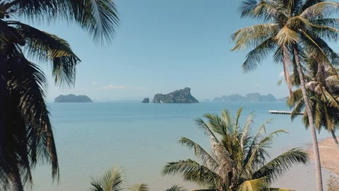 Flying through the palm trees to reveal paradise island on the ocean 스톡 동영상 117601728