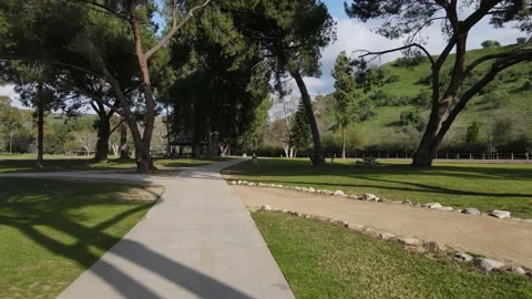 Flying through the park 02 Stock Footage 233129975
