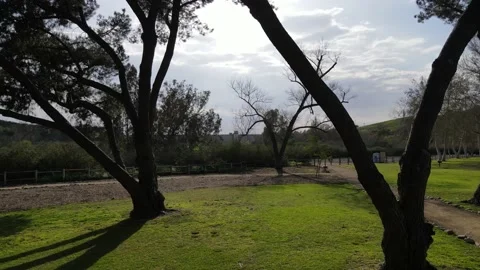 Flying through the park 03 Stock-Footage 233129970