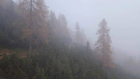Flying through a path in thick clouds on top of a forest in Autumn 스톡 동영상 129815748