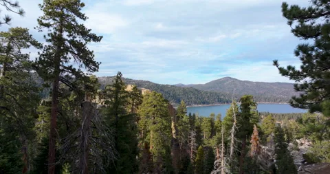 Flying through pine trees and over forest and cliff reveal lake Stock Footage 329909134