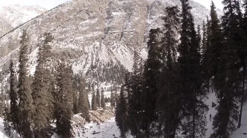 Flying through pines and rocks in winter 動画素材 54588302
