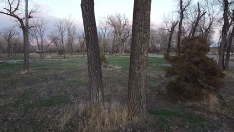 Flying through public campsite trees Stock Footage 310573851