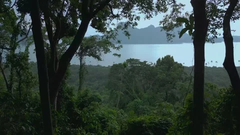 Flying through rainy forest with view on mountains and sea in the Philippines Vídeos de archivo 253728032