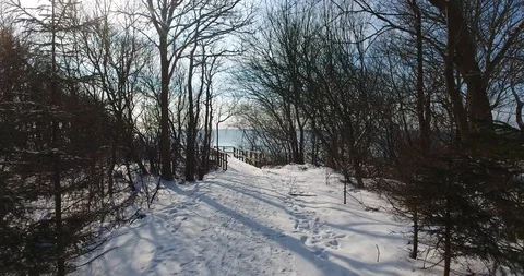Flying through an snow-covered forest trail to the sea - 1 Stock Footage 86594071