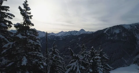 Flying through snow covered trees to reveal Austrian Alps Stock Footage 102450140
