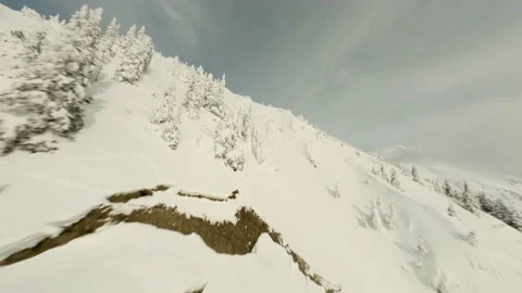 Flying up through the snowy trees, a lot of snow Stock Footage 203854152