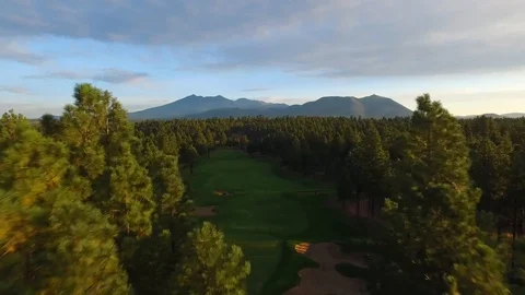 Flying Through Sunlit Trees Golf Course Green, Flagstaff, Arizona Stock Footage 101623050