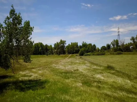 Flying Through a Sunny Field Stock Footage 77207034