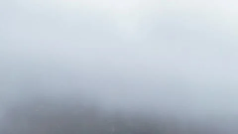 Flying Through Thick Dense Fog, Mysterious Misty Forest Atmosphere Vídeos de archivo 338398879