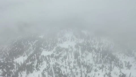 Flying through Thick Fog over the snow covered forest terrain Trim Vídeo Stock 150719598