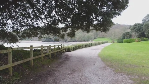 Flying through tree and revealing coast Stock Footage 122216587