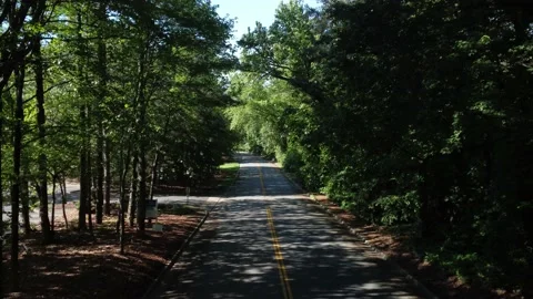 Flying through tree branches over road at business park Видео 240021238