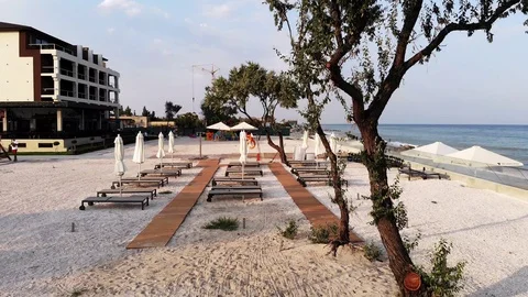 Flying through tree branches at sea Stock-Footage 114978085