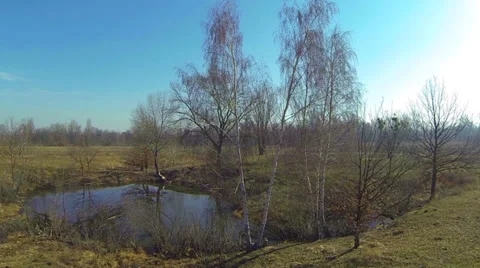 Flying through the trees. Aerial videography. 動画素材 36157047