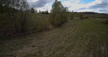 Flying through trees and opening to a Finnish field 4K Stock Footage 86127704