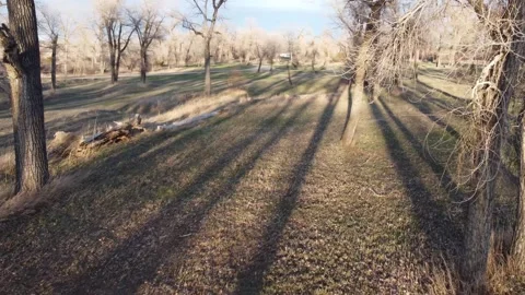 Flying through trees in a campground by Yellowstone River Stock Footage 310576725