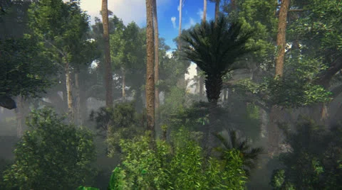 Flying through the trees Stock Footage 26121796