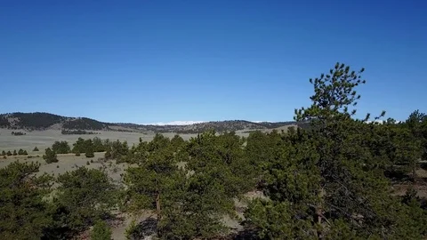 Flying Through Trees in Forest Stock Footage 78307041