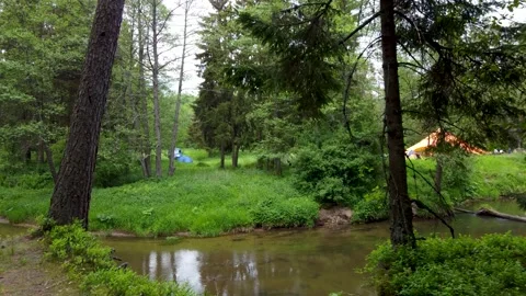 Flying through the trees on high bank of clear small forest river Stock Footage 169924933