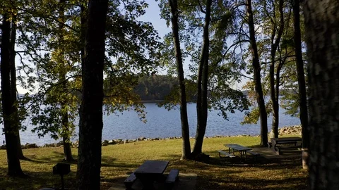 Flying through the trees of a lake side picnic area. 動画素材 119299294