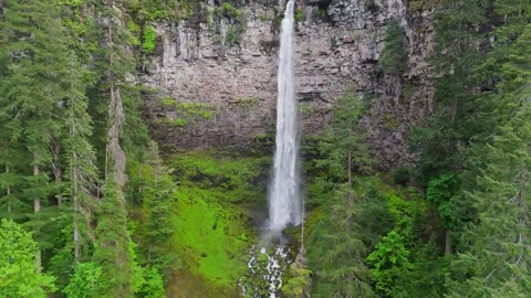 Flying through the trees near Watson falls in Oregon, USA. Aerial view of tall Stock Footage 278600693