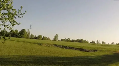 Flying Through Trees to Open Field Stablized 動画素材 37727098