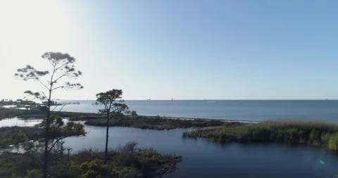 Flying through trees out to sea and beach area drone aerial 4K Stock Footage 111365511