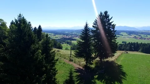 Flying through trees over bavarian farmers land Stock Footage 108809631