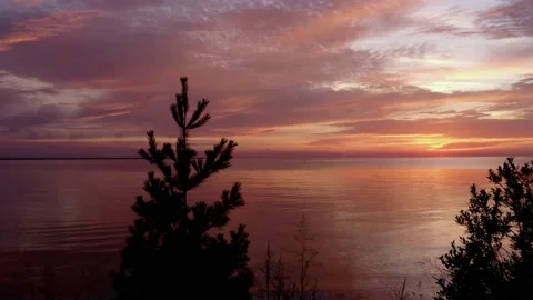 Flying through Trees Over Sea During Colorful Sunrise on Coast Spectacular View Stock Footage 137657249