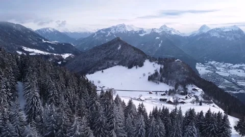 Flying through Trees Tops Paradise Heaven of a wonderful landscape in the Alps Stock Footage 194568386