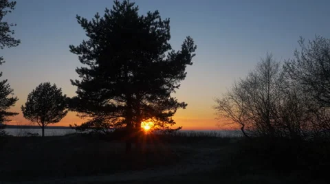 Flying through Trees towars Beach and Sea in Sunset Light Stock Footage 64680274