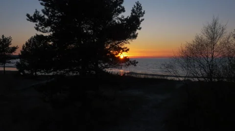 Flying through Trees towars Beach and Sea in Sunset Light Stock Footage 64680308