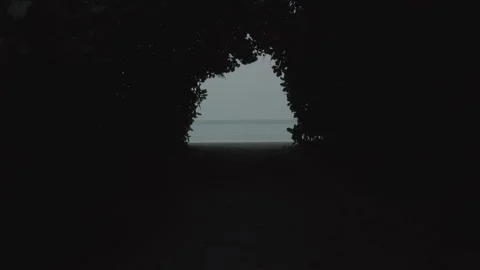Flying through a tunnel of trees to the open water Stock Footage 241940847