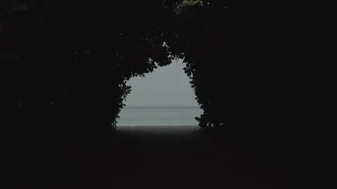 Flying through a tunnel of trees to the open water Vídeos de archivo 241940987