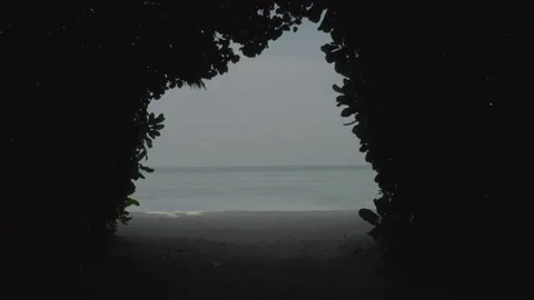 Flying through a tunnel of trees to the open water Video stock 241941279