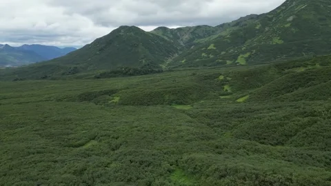 Flying through a vast, lush mountain range and valley Stock Footage 316802188