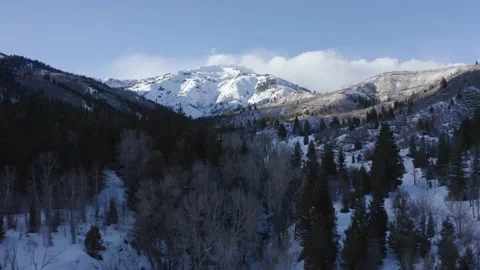 Flying through Wasatch mountains in Utah covered in snow in winter cold nature Stock Footage 168703350
