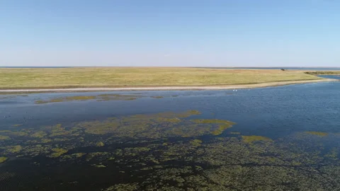 Flying through the water, covered with mud, to the shore Video stock 153066237