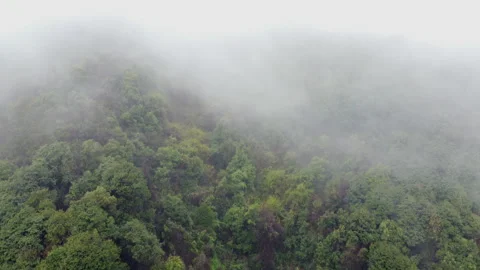 Flying through white clouds, aerial video of green forest Stock Footage 151536843